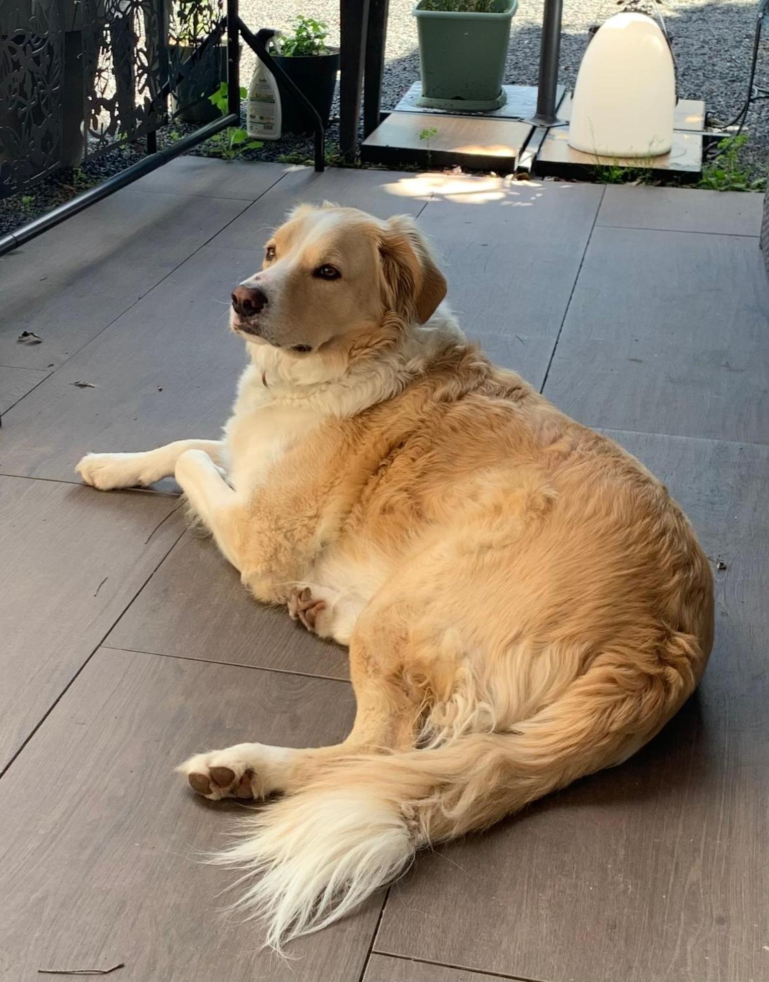 Cookie Home Dolomieux 외부 사진